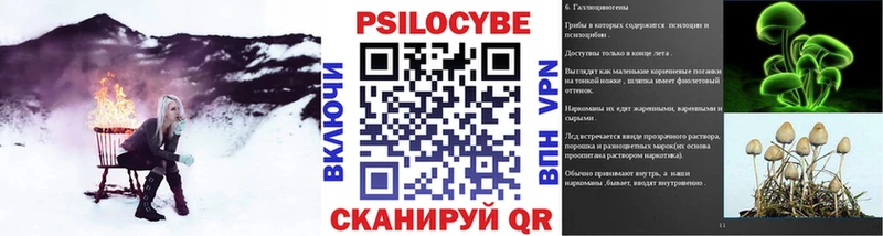 Псилоцибиновые грибы ЛСД Власиха